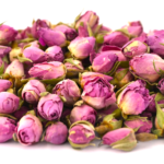 غنچه گل محمدی لاله‌زار دهکده سلامت فقط عمده