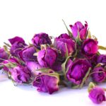 غنچه گل محمدی لاله‌زار دهکده سلامت فقط عمده