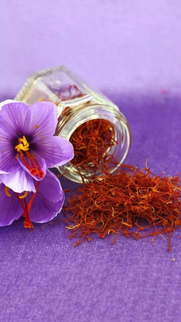 زعفران سرگل